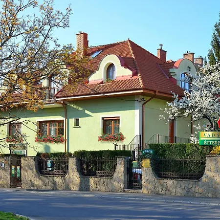 Bed & Breakfast Vadaszkuert Panzio 3*