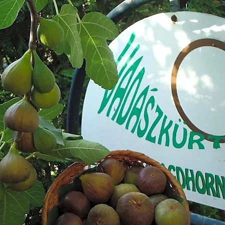 Vadaszkuert Panzio 4* Šoproň