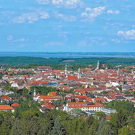 Vadaszkuert Panzio 4*