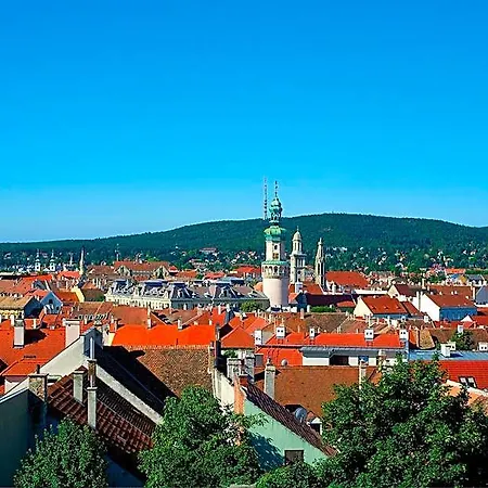 Vadaszkuert Panzio 4* Sopron