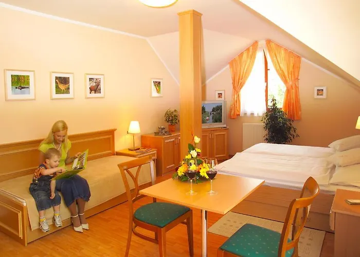 Vadaszkuert Panzio 住宿加早餐酒店 4*